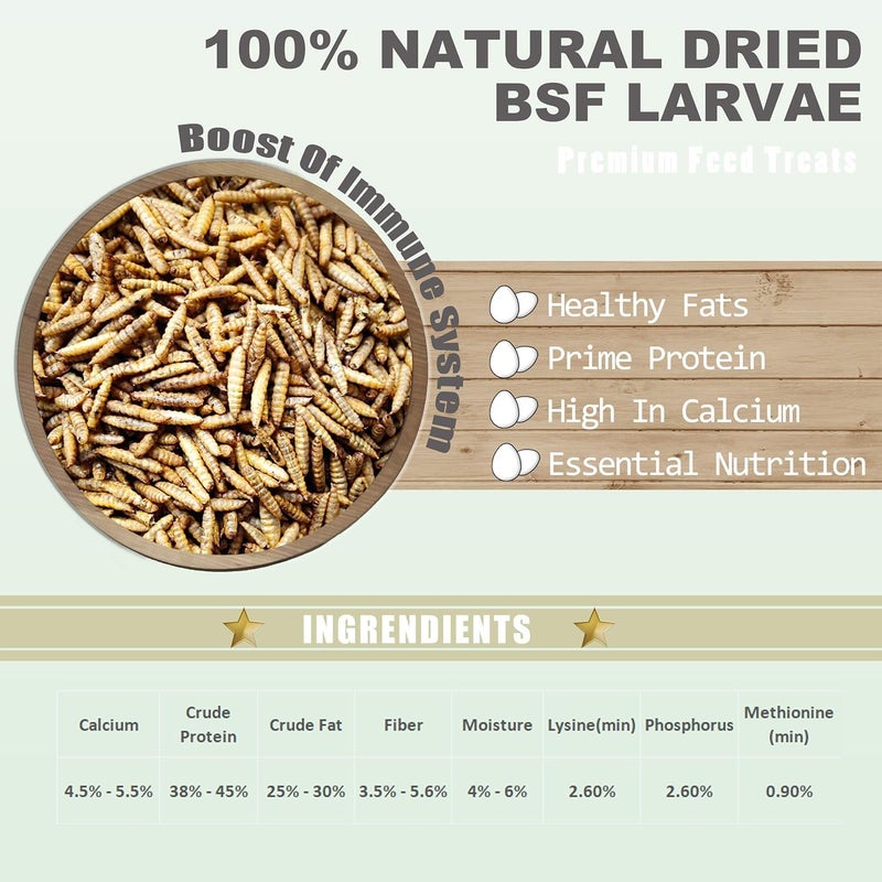 Amzey 11 LBS Dried Black Soldier Fly Larva - 100% Natural BSF Larvae - 85X More Calcium Than Mealworms - High Calcium Treats for Chickens, Birds, Reptiles, Hedgehog, Geckos, Turtles - Image 2
